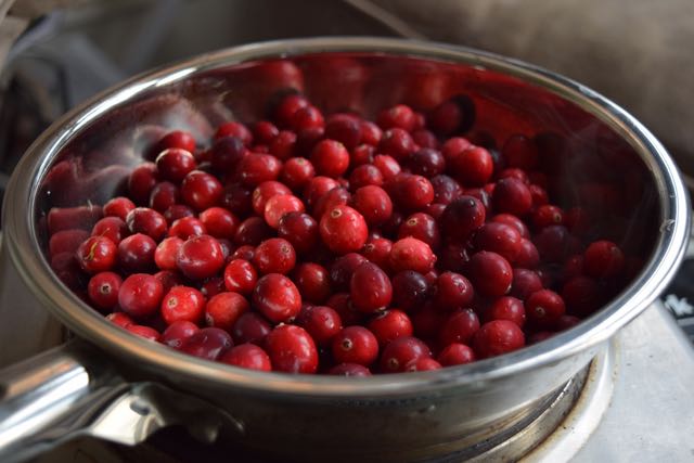 Cranberry-orange-relish-recipe-lucyloves-foodblog