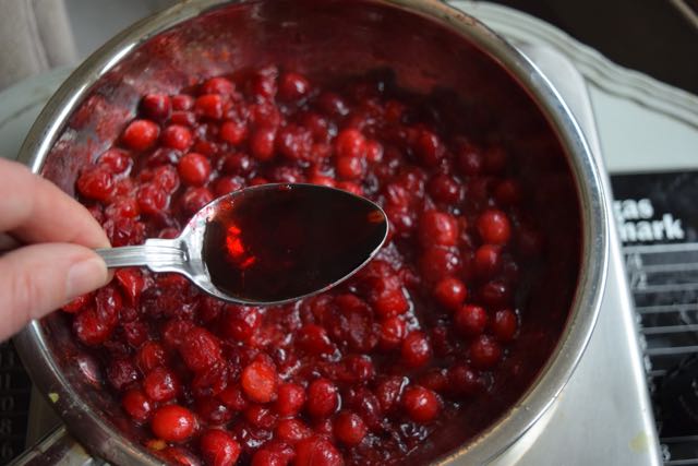 Cranberry-orange-relish-recipe-lucyloves-foodblog