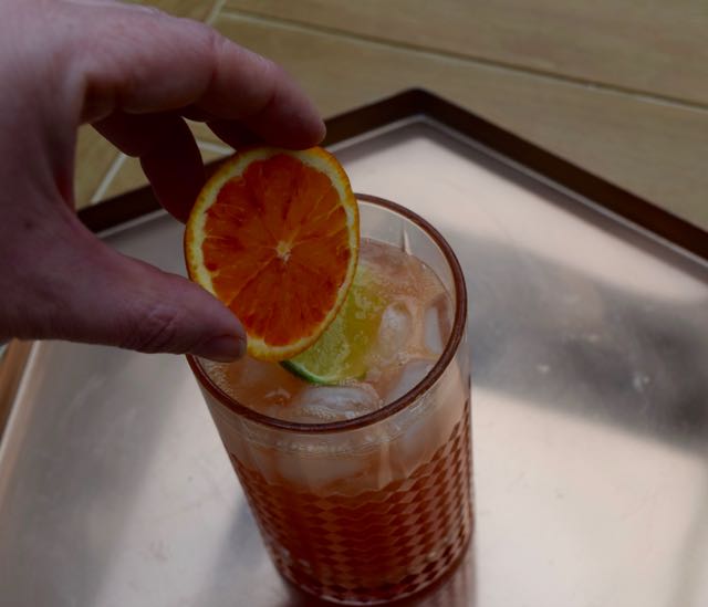 Blood-orange-gin-and-tonic-recipe-lucyloves-foodblog