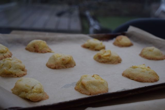 Salted-crisp-cookies-recipe-lucyloves-foodblog