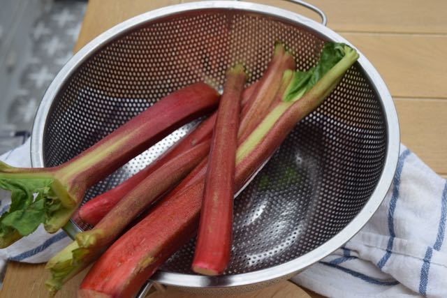 Rhubarb-custard-cake-recipe-lucyloves-foodblog