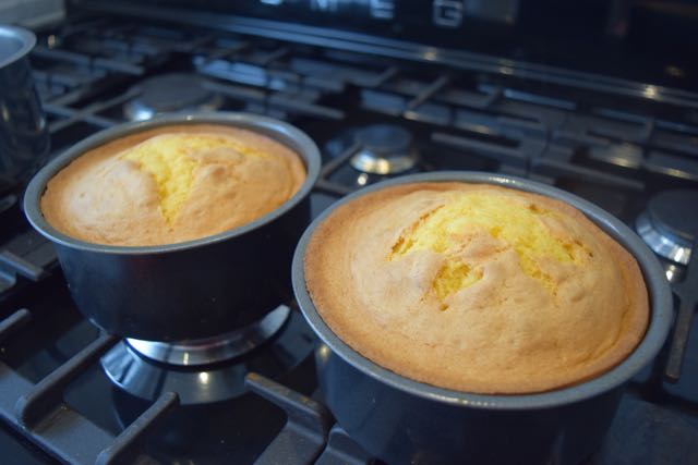 Rhubarb-custard-cake-recipe-lucyloves-foodblog