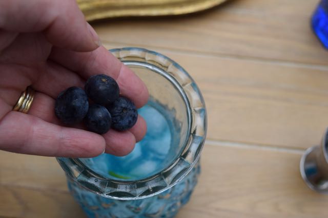 Blue-mule-cocktail-recipe-lucyloves-foodblog