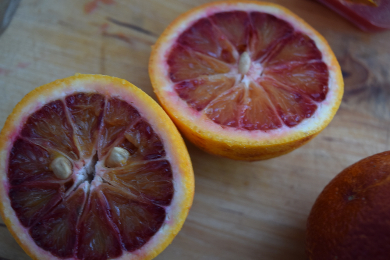 Blood-orange-creams-recipe-lucyloves-foodblog