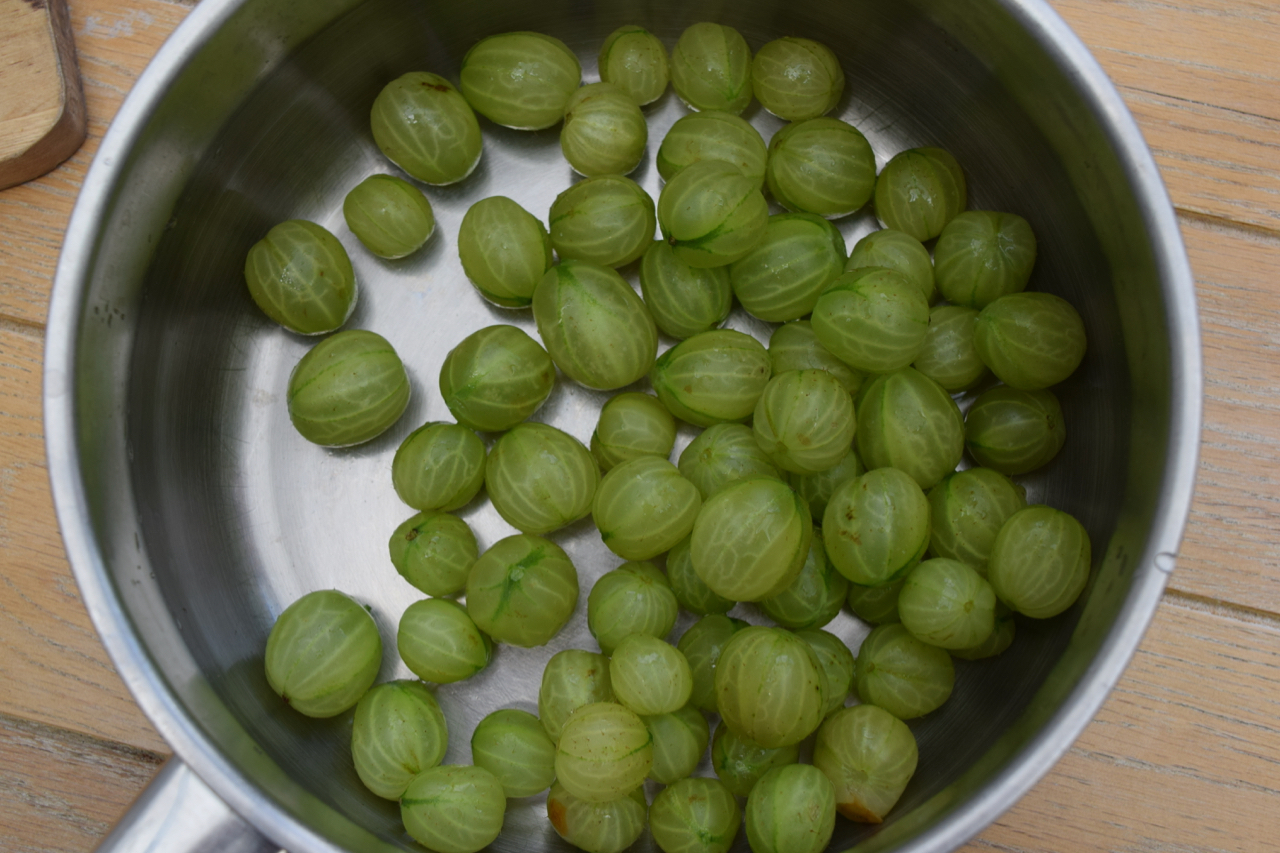 Gooseberry-fool-recipe-lucyloves-foodblog