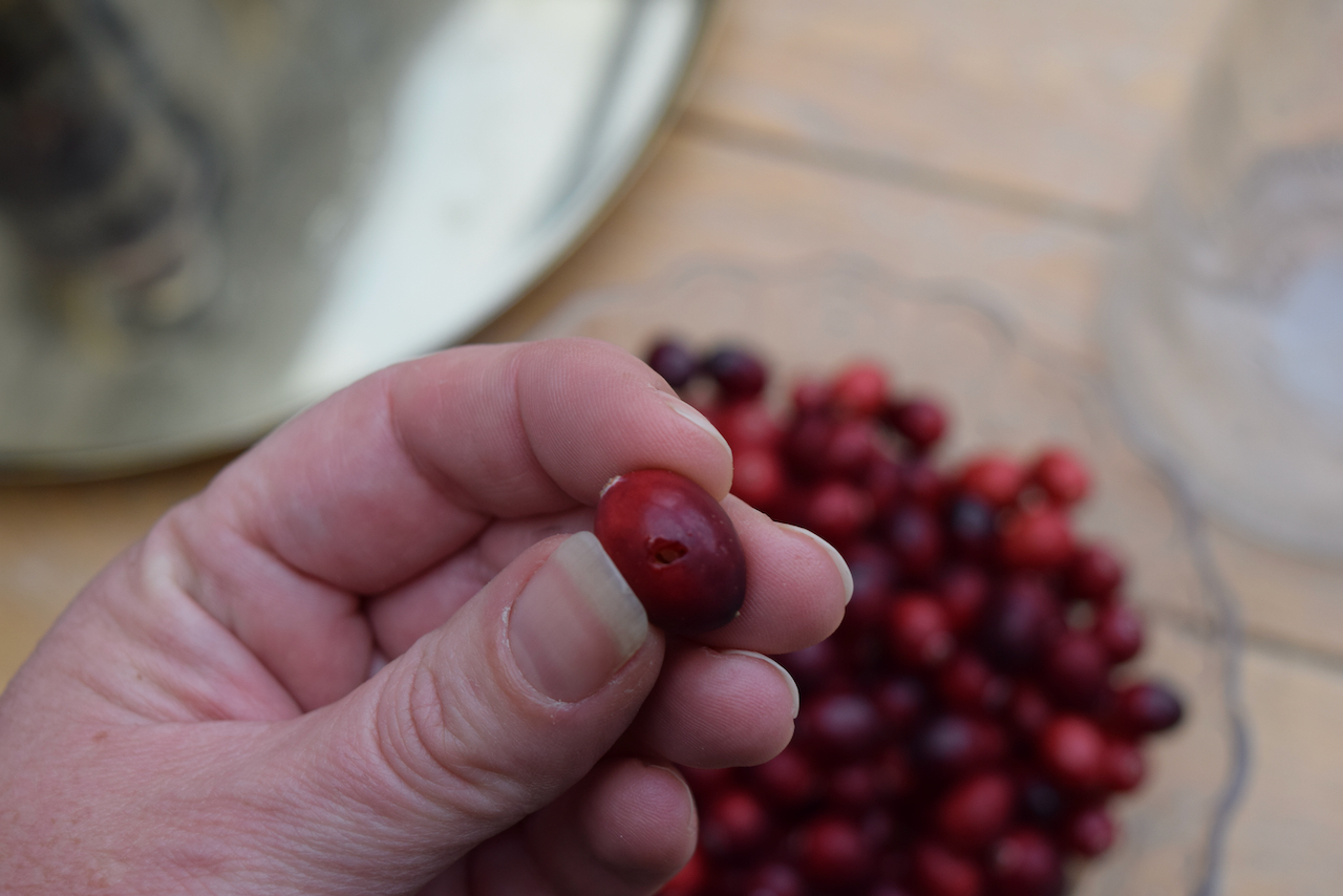 Cranberry Rum Dark and Stormy recipe from Lucy Loves Food Blog