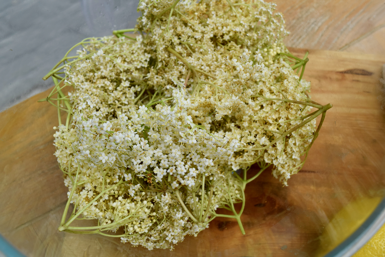 Homemade Elderflower Cordial recipe from Lucy Loves Food Blog