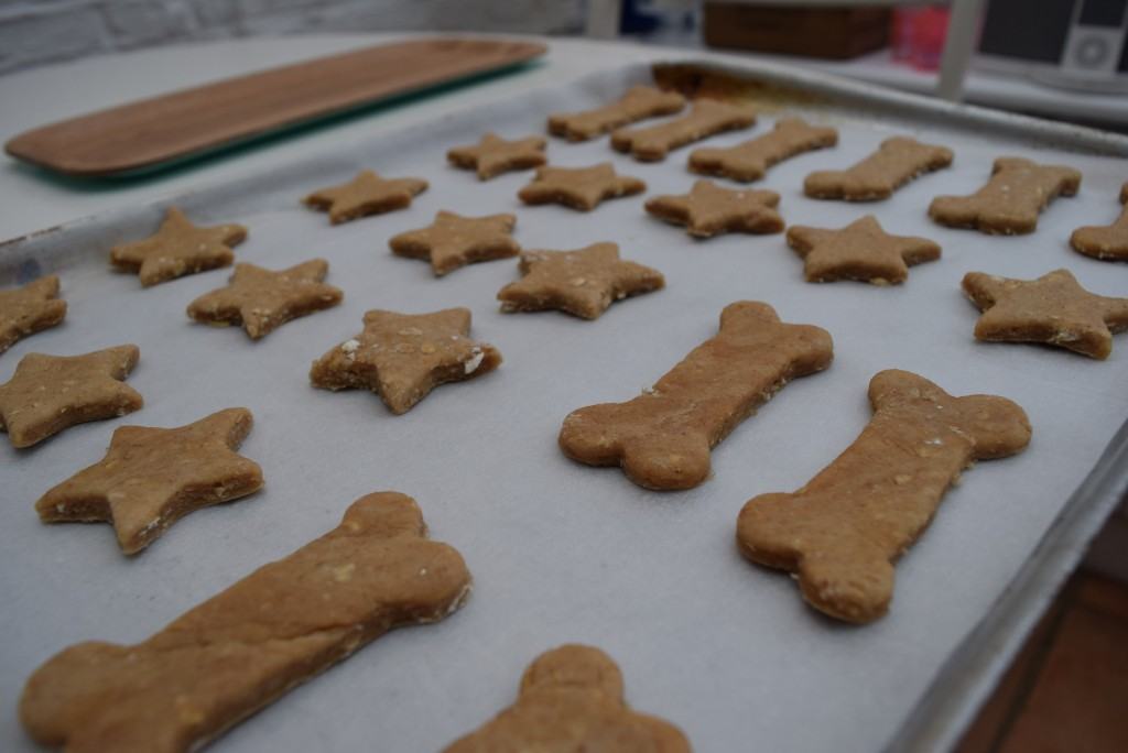 Teddys-dog-treats-lucyloves-foodblog