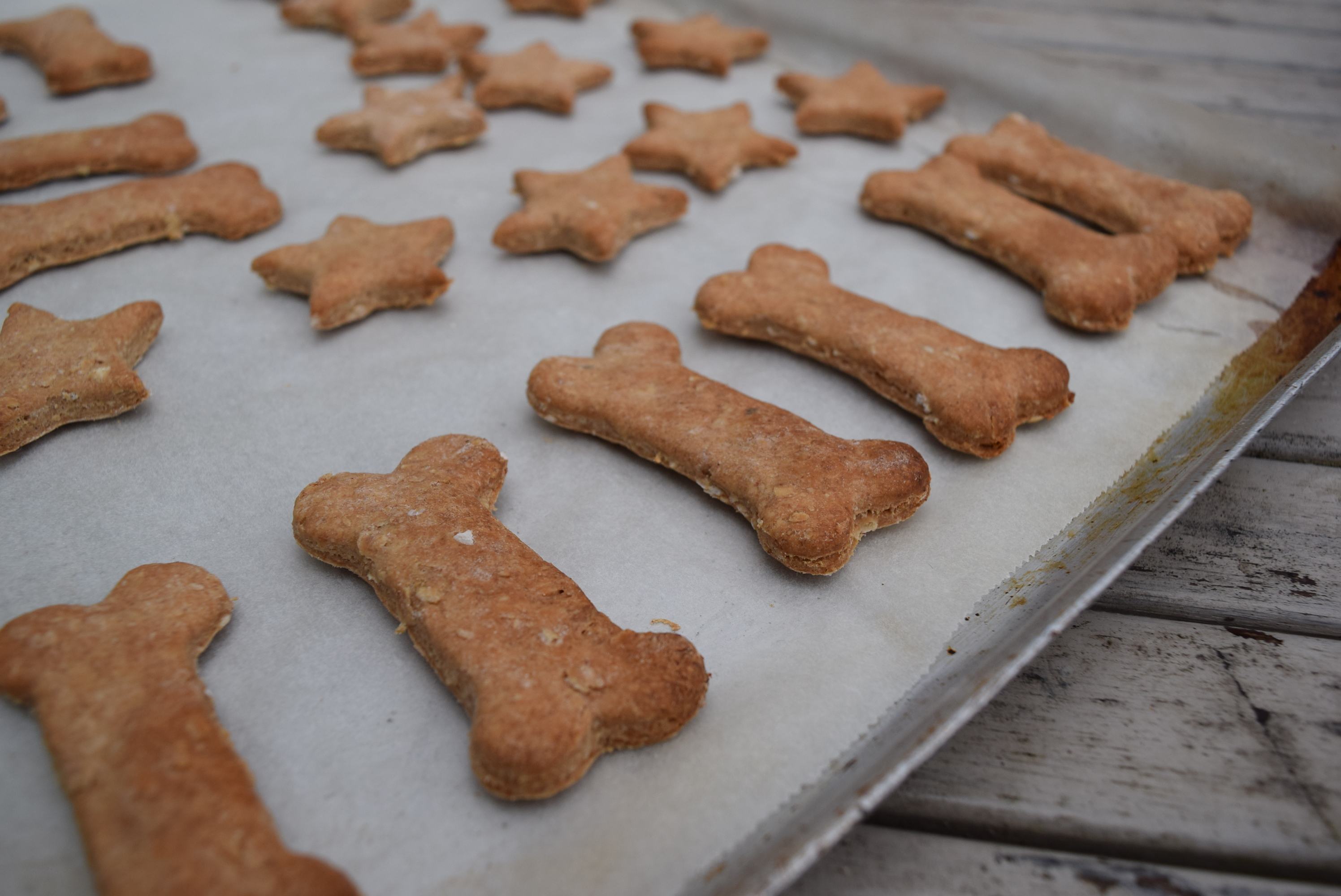 Homemade Dog Treat Toy Filling Recipe - {Not Quite} Susie Homemaker