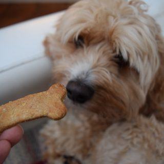Teddys-dog-treats-lucyloves-foodblog