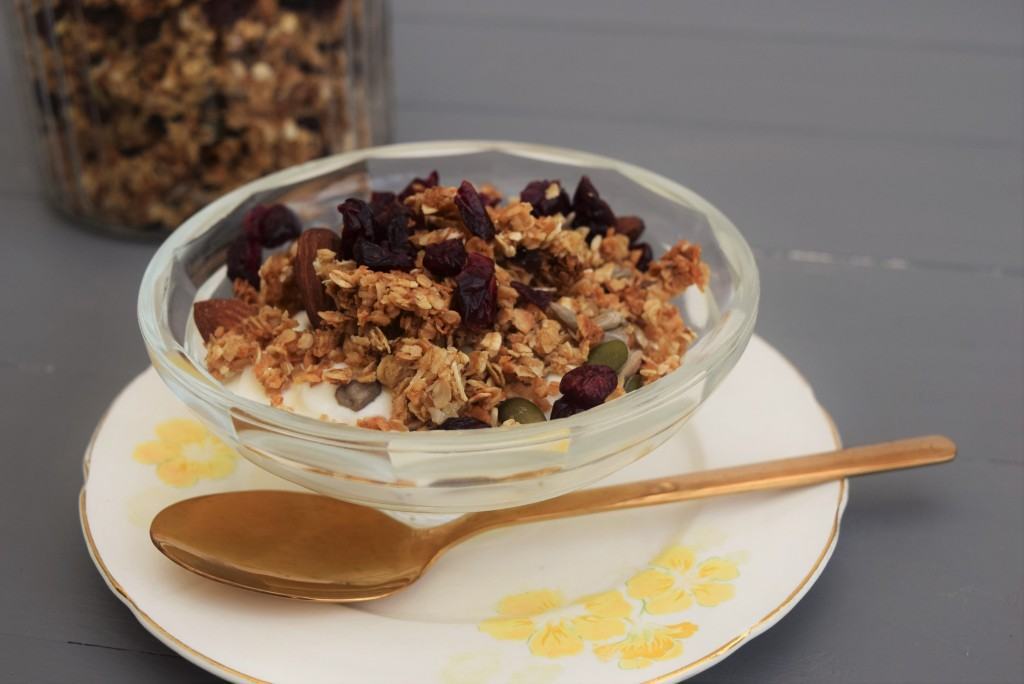 Almond-coconut-cranberry-granola-lucyloves-foodblog