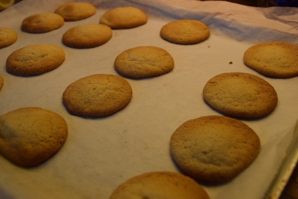 Little-lemon-cookies-lucyloves-foodblog