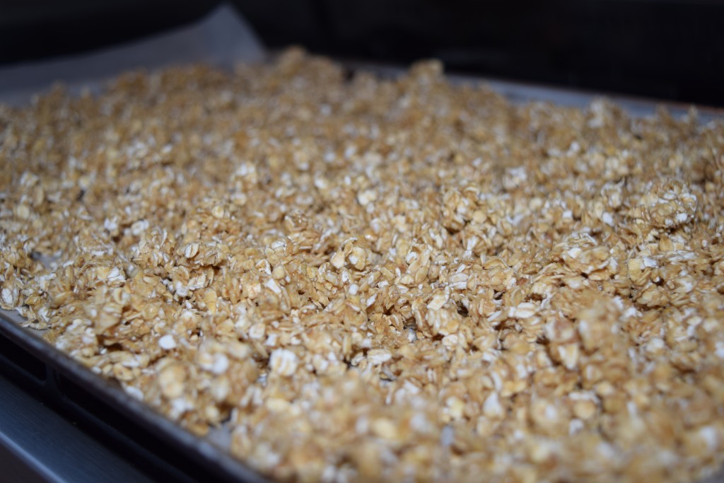 Peanut-butter-honey-granola-lucyloves-foodblog