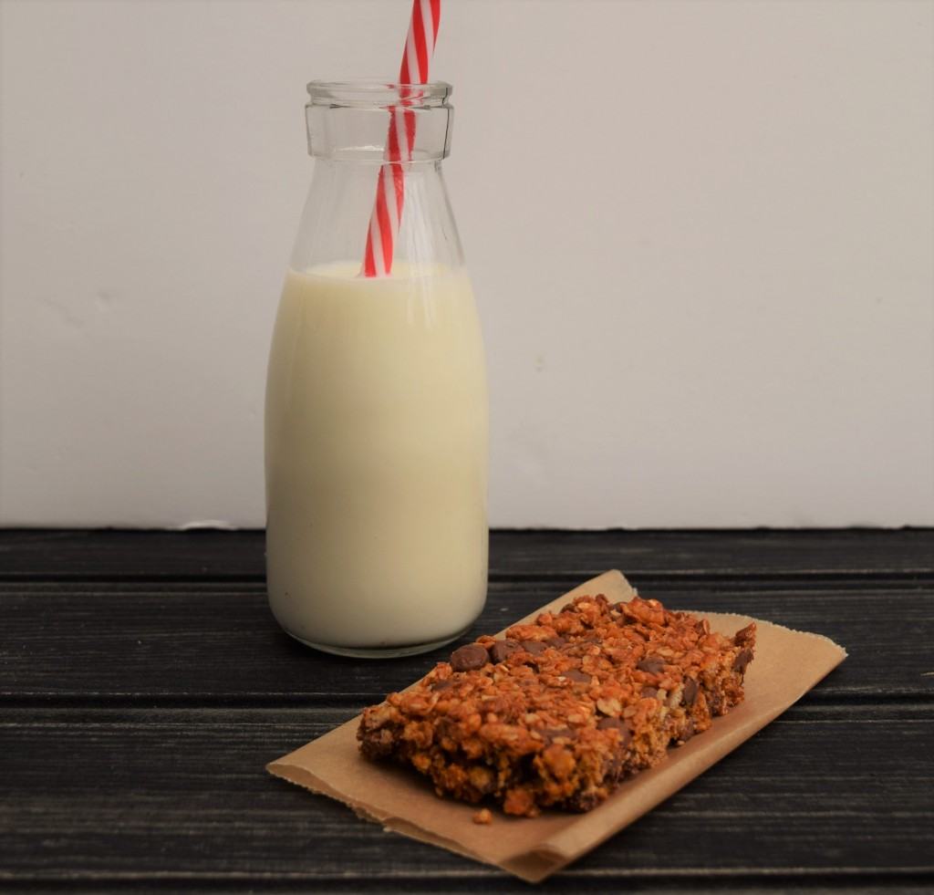 Oat-honey-bars-recipe-lucyloves-foodblog