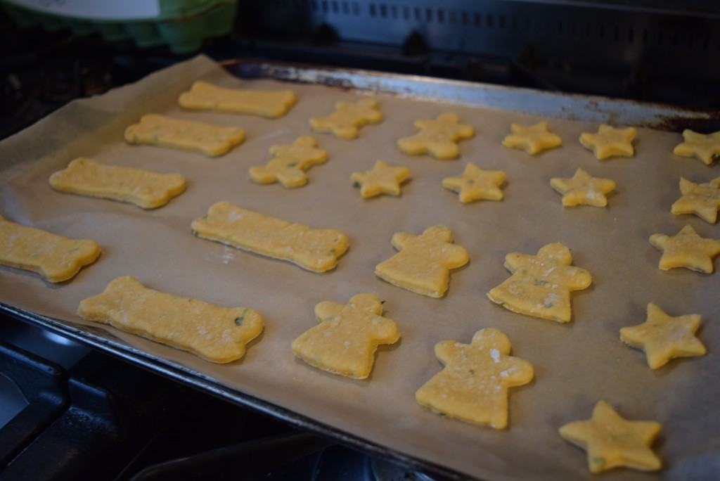 Carrot-dog-treats-recipe-lucyloves-foodblog