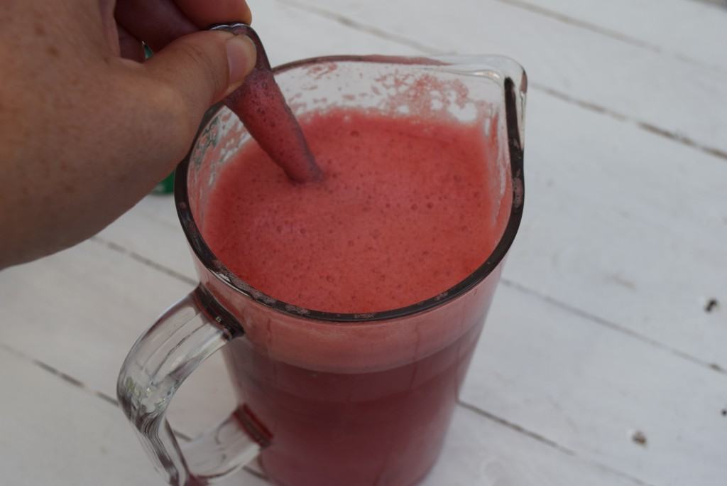 Watermelon-cooler-lucyloves-foodblog