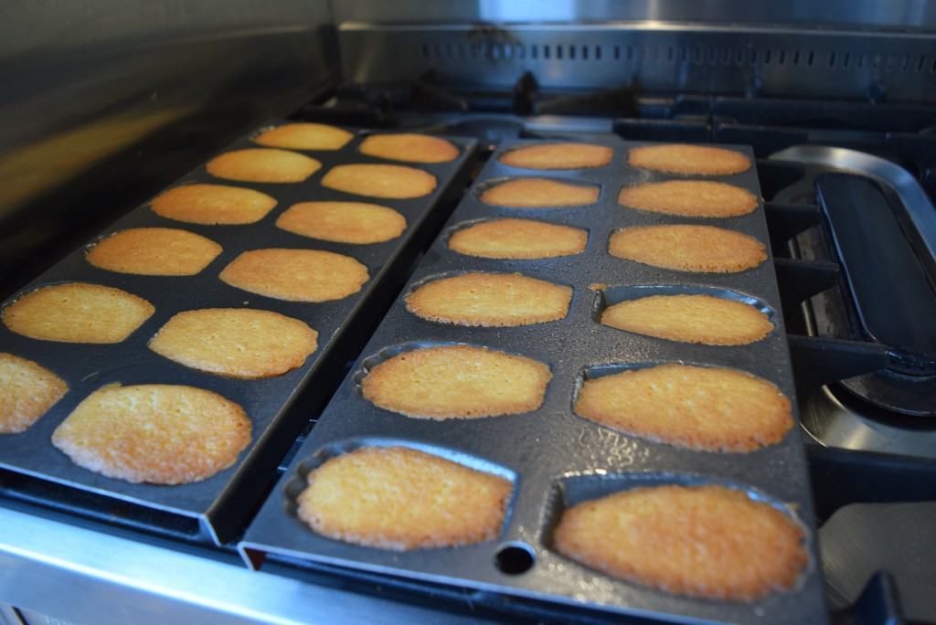 Golden-syrup-madeleines-recipe-lucyloves-foodblog