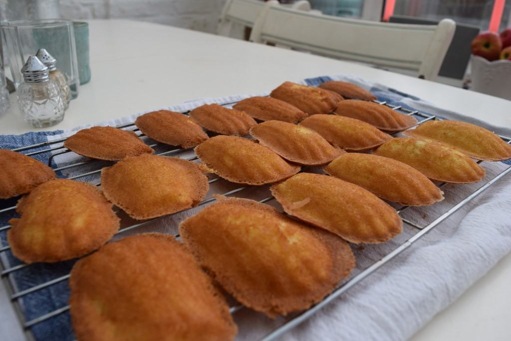 Golden-syrup-madeleines-recipe-lucyloves-foodblog