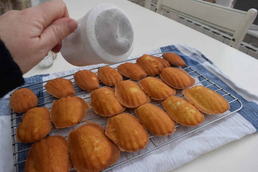 Golden-syrup-madeleines-recipe-lucyloves-foodblog