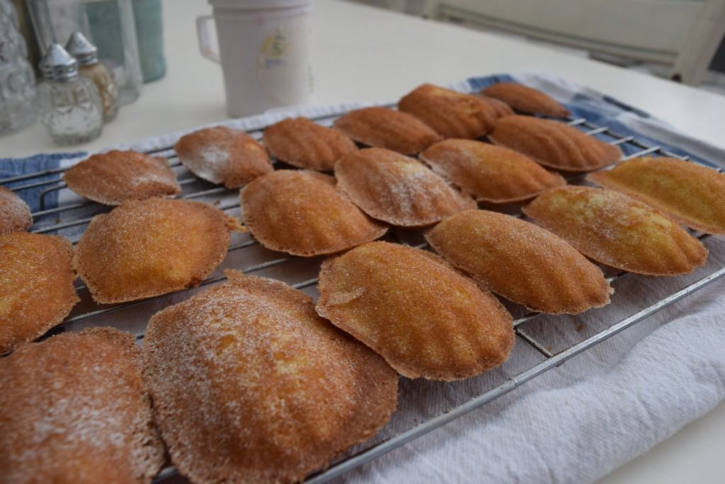 Golden-syrup-madeleines-recipe-lucyloves-foodblog