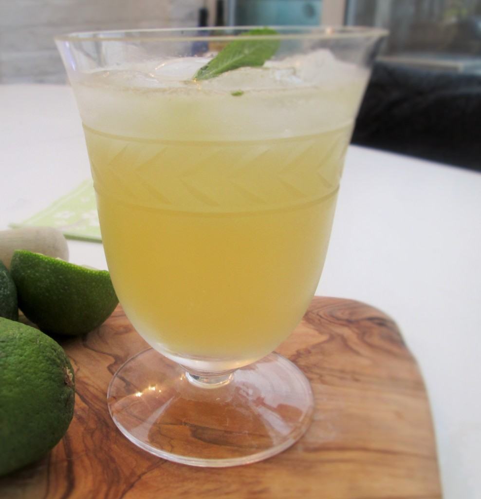 Apple-gin-elderflower-mint-cocktail-lucyloves-foodblog