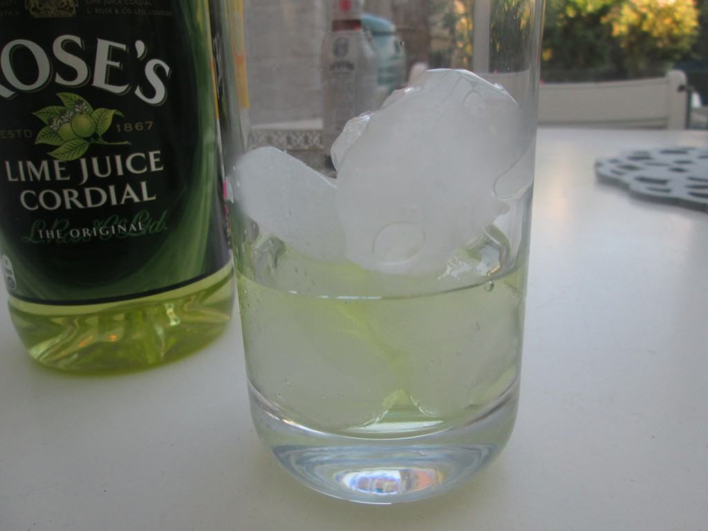 Lime-and-bitters-cocktail-lucyloves-foodblog