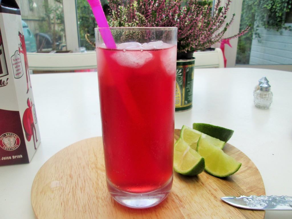 Pomegranate-gin-and-tonic-lucyloves-foodblog