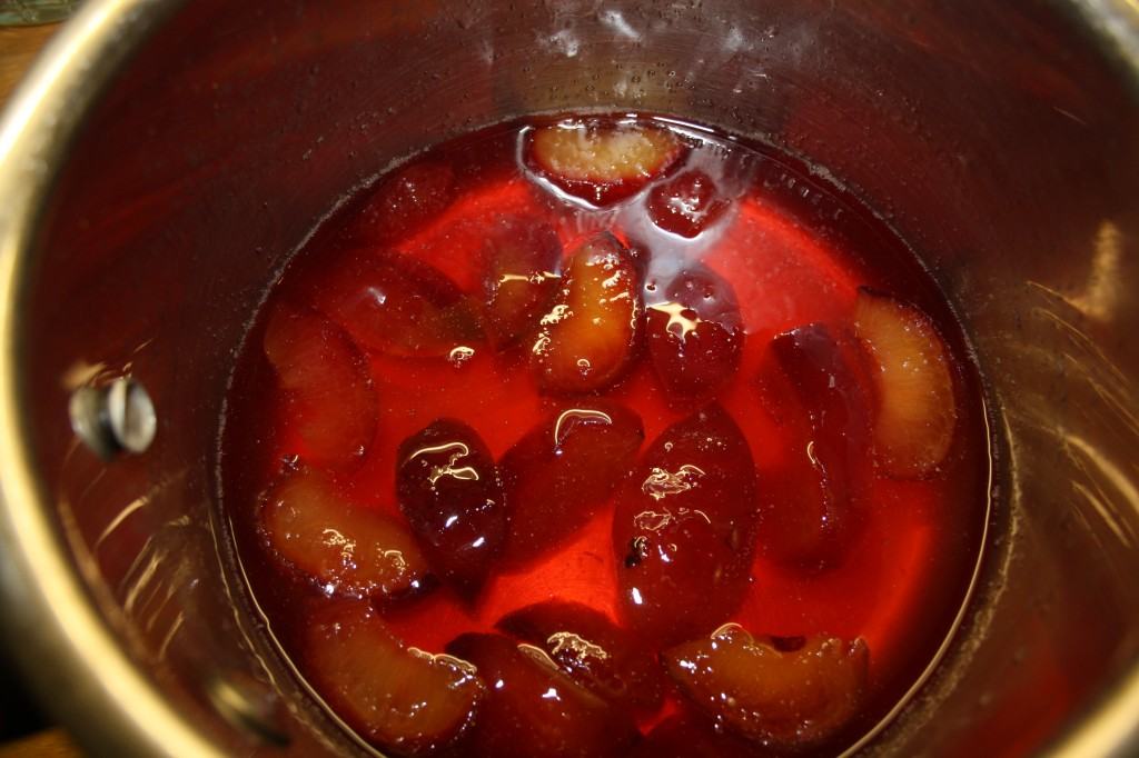 Plum-vodka-spritzer-lucyloves-foodblog