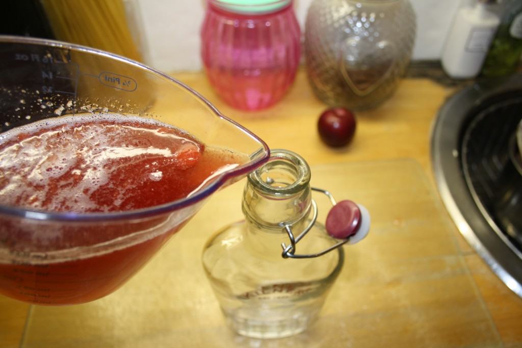 Plum-vodka-spritzer-lucyloves-foodblog